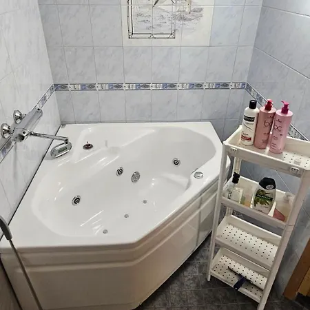 Air Contioned And Furnished Half Of Semi Detached House Huoneisto *